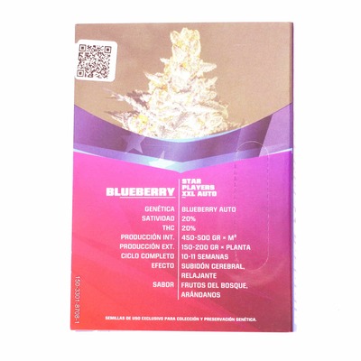Blueberry XXL Auto > BSF Seeds | Autoflowering Hanfsamen  |  Indica